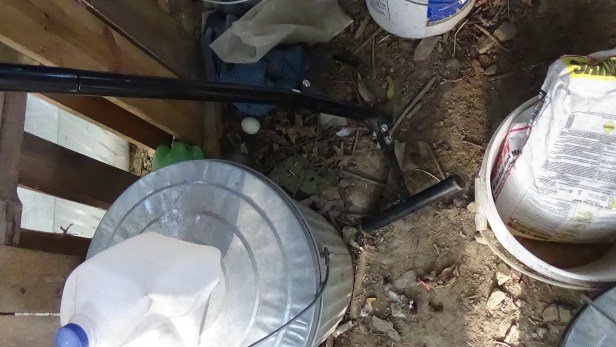 9-25-2016-egg-a-day-2