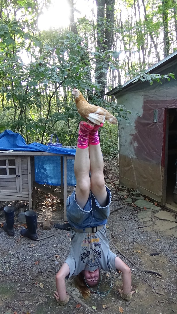 9-25-2016-egg-a-day-4