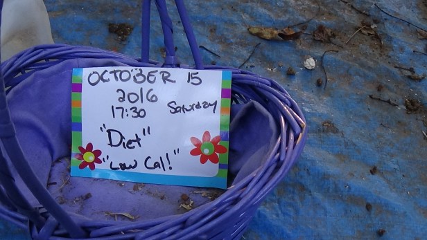 10-15-2016-egg-a-day