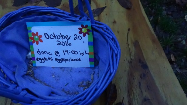 10-20-2016-egg-a-day