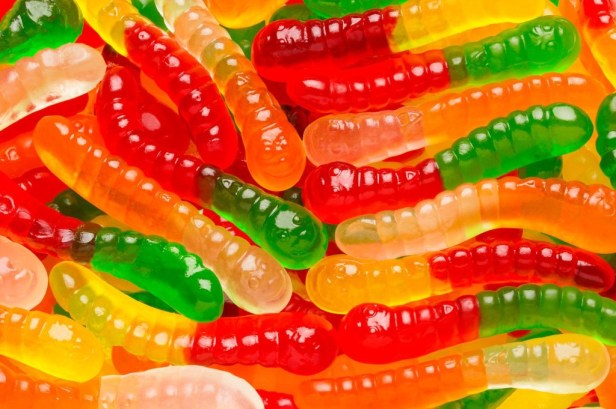 sugar-free-mini-assorted-fruit-gummi-worms_2-1024x681