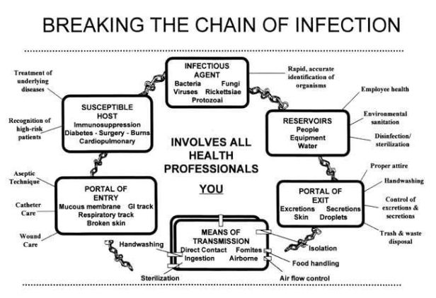 BreakingChainofInfection