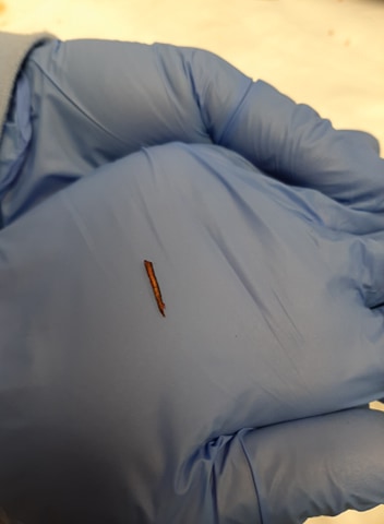 96091631_674352280071927_8082819505484464128_n